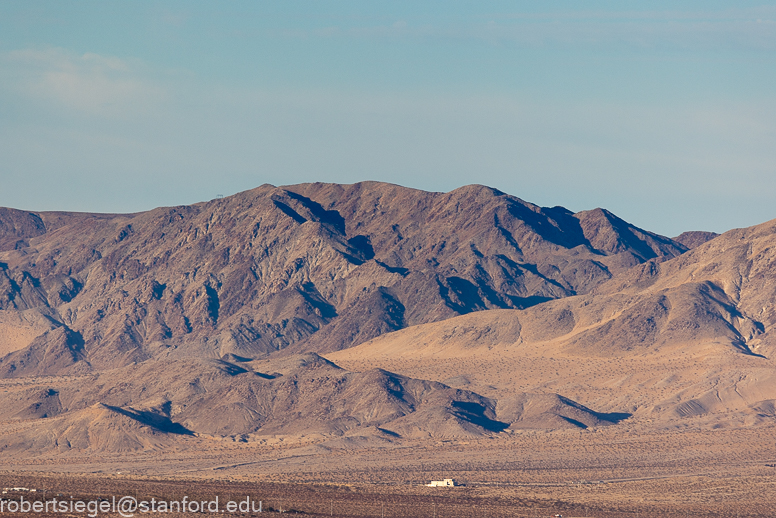 Joshua Tree